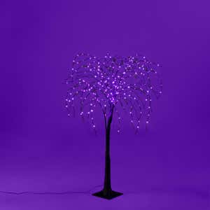 6' Black Weeping Willow Tree with Purple LED Lights