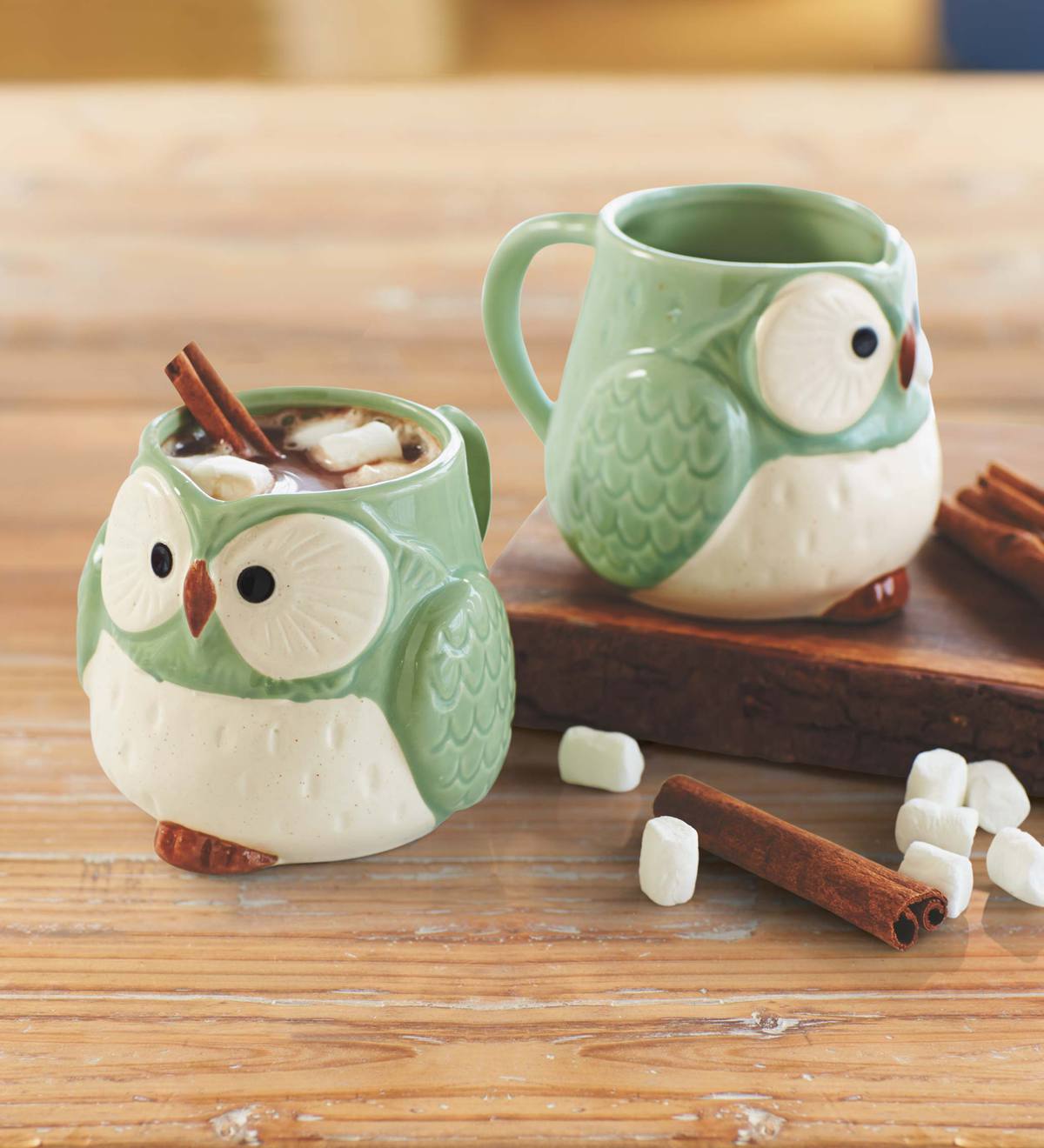 Funny Cute Green Owl Pattern Travel Mug