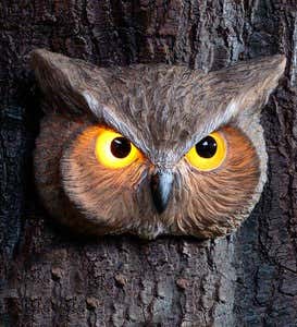 Glowing Animal Eyes Tree Face - Owl