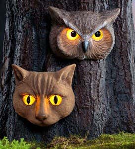 Glowing Animal Eyes Tree Face - Owl