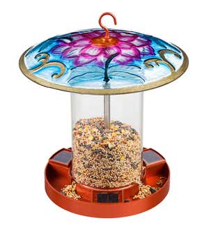 Solar Bird Feeder with Hand-Painted Embossed Glass Dragonfly Top