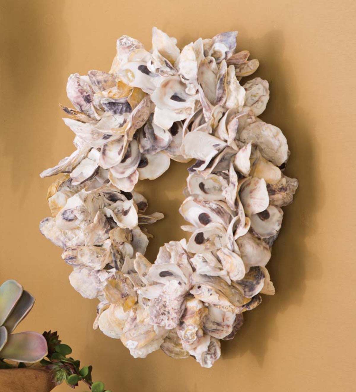 Natural Oyster Shell Wreath