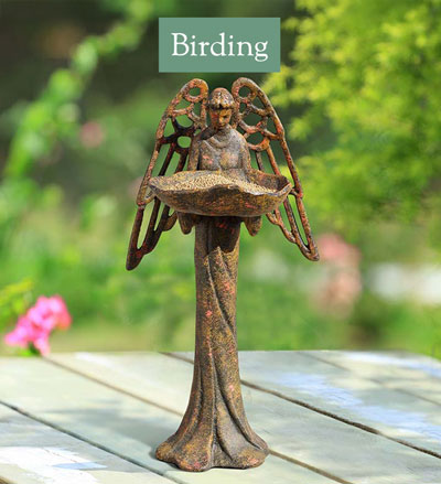 birding