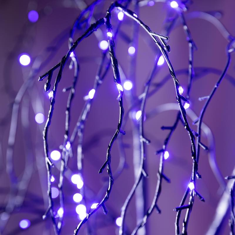 6' Black Weeping Willow Tree with Purple LED Lights