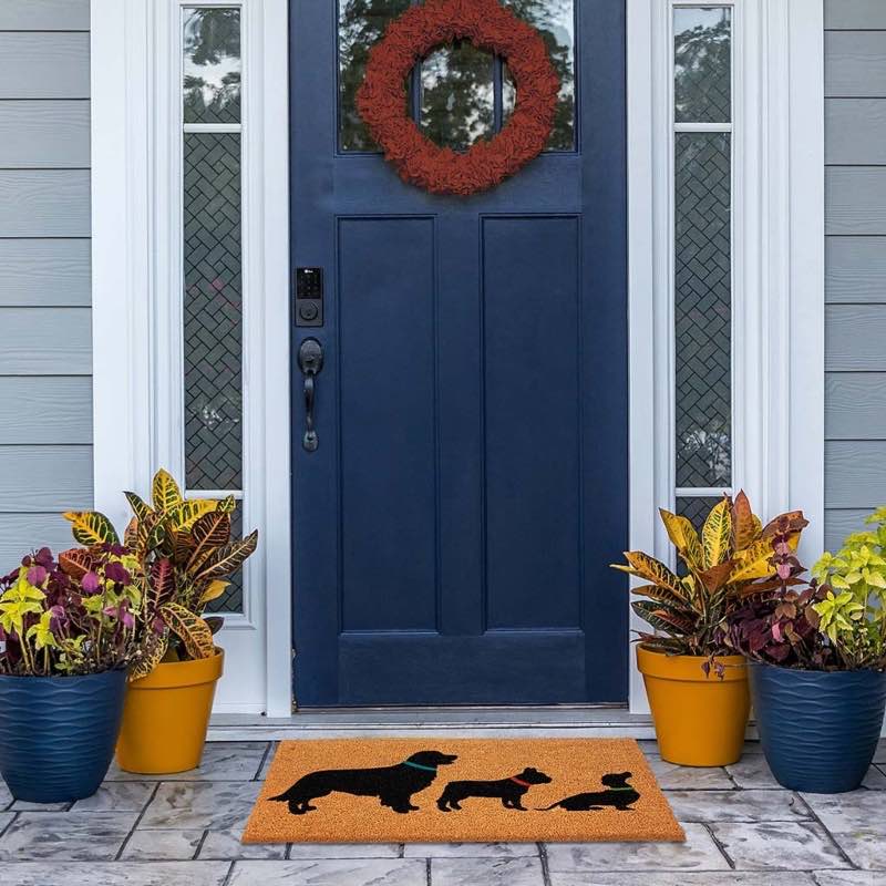 Best in Show Coir Doormat