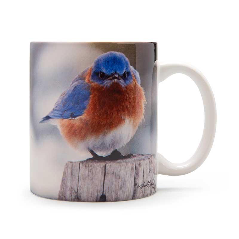 Ceramic Mad Bluebird Mug
