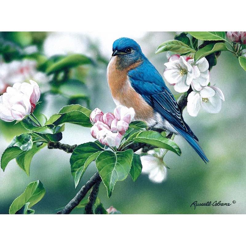 Bluebird on Apple Blossom 1000-Piece Puzzle