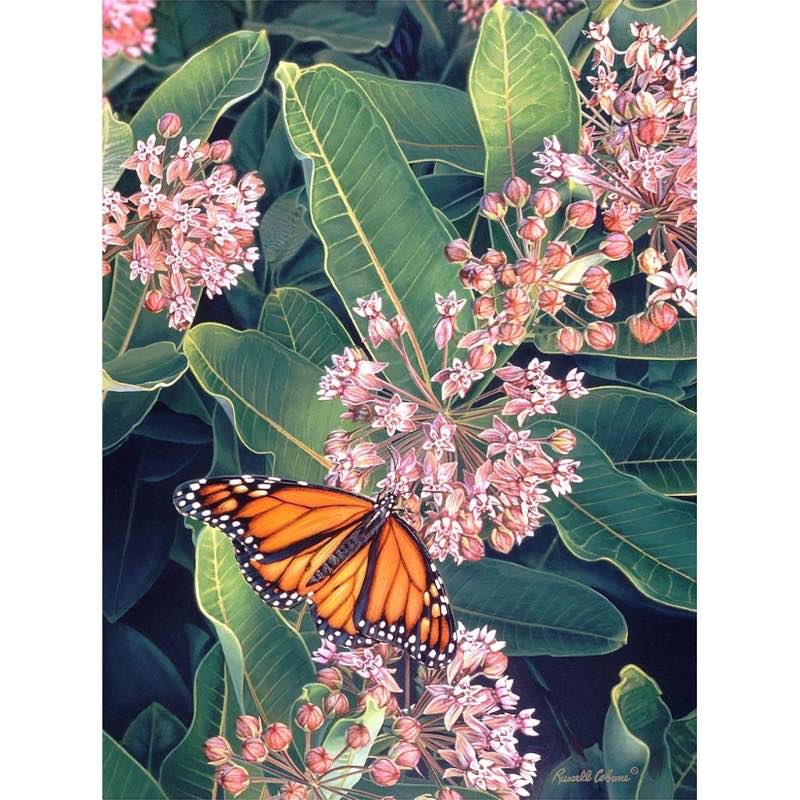 Monarch on Milkweed 1000-Piece Puzzle