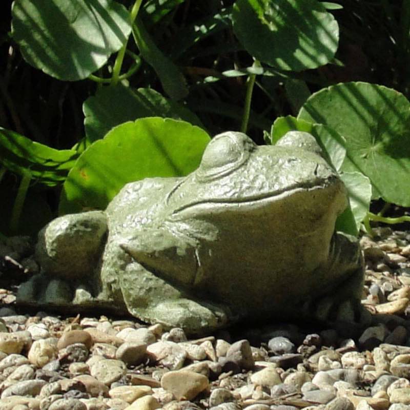 Cast Stone Bullfrog Sculpture