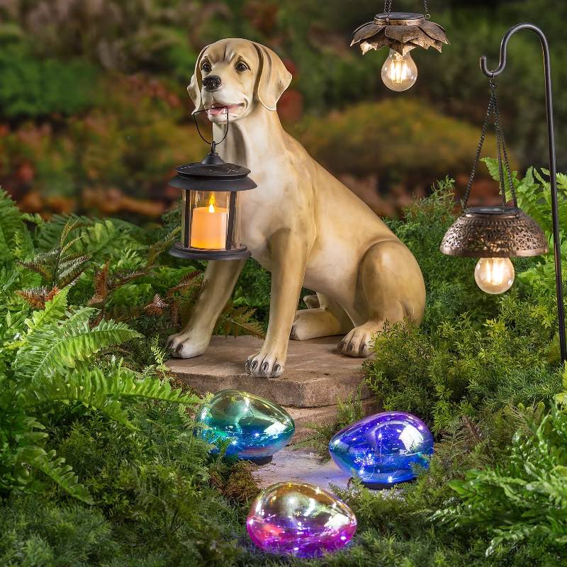 Yellow Lab with Solar Lantern