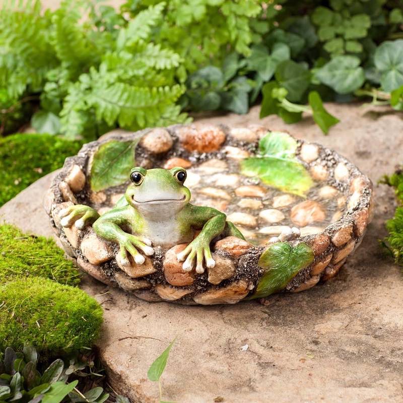 Happy Frog Tabletop Birdbath