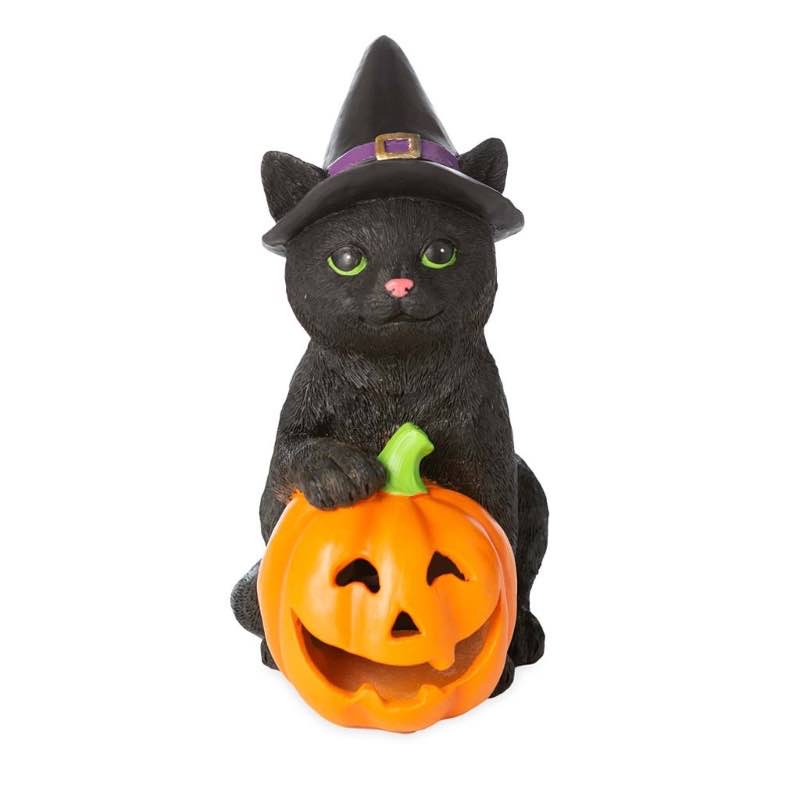 Black Halloween Kitten with Pumpkin