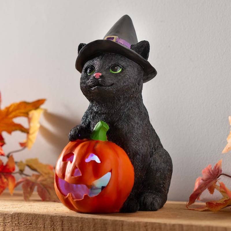 Black Halloween Kitten with Pumpkin