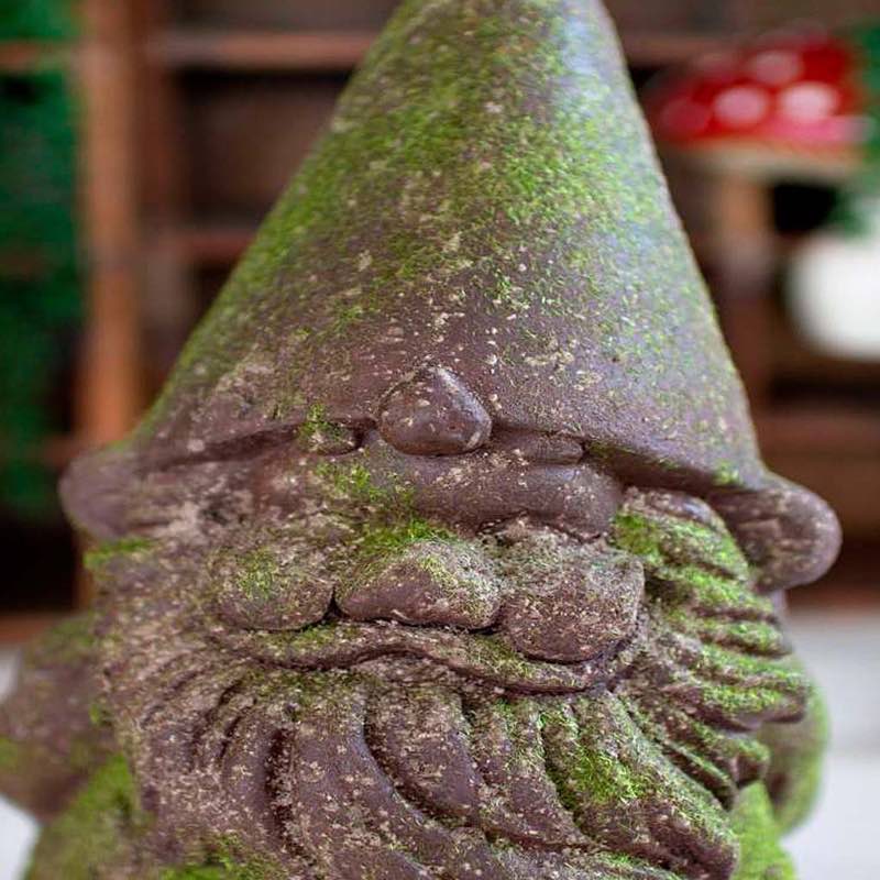 Charming Gnome Garden Statue