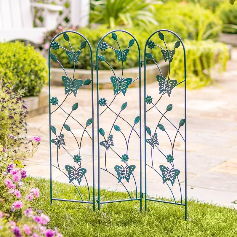 Butterfly Trifold Trellis