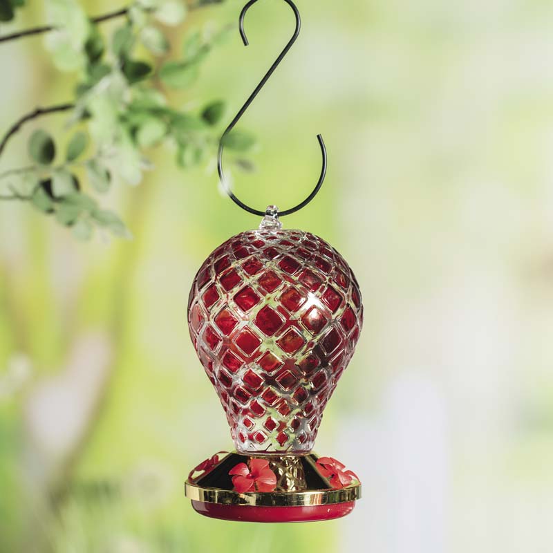 Red Balloon Hummingbird Feeder