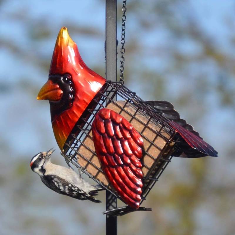 Metal Cardinal Suet Bird Feeder