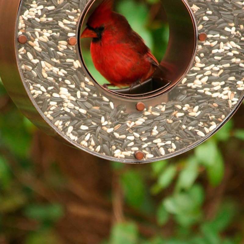 Copper Tear Drop Bird Feeder