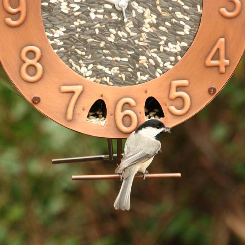 Copper and Plexiglass Clock-Motif Bird Feeder