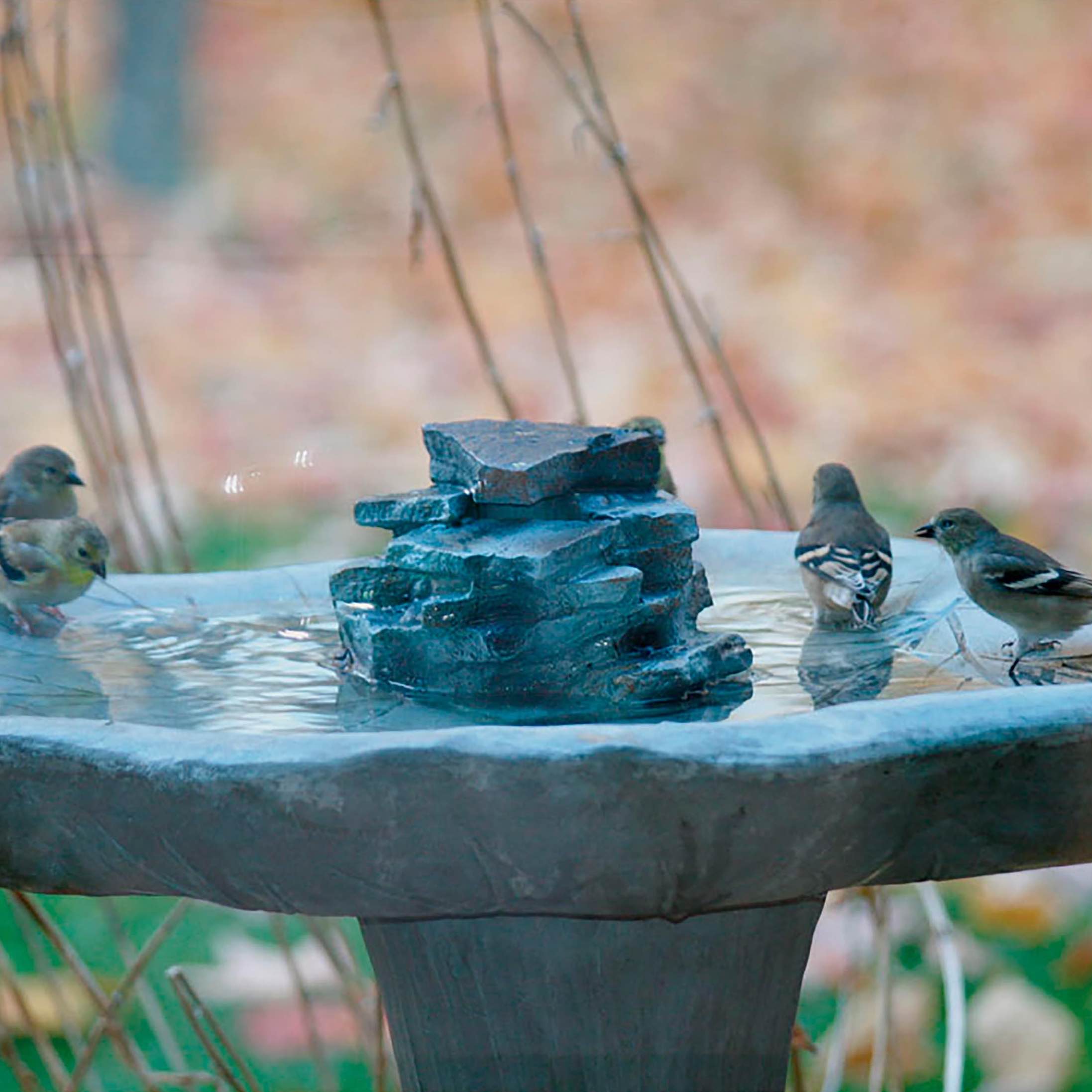 Waterfall Rock for Bird Baths