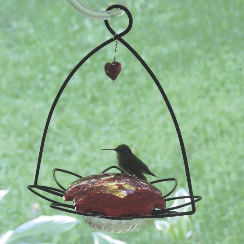 Flower-Shaped Hummingbird Feeder with Heart