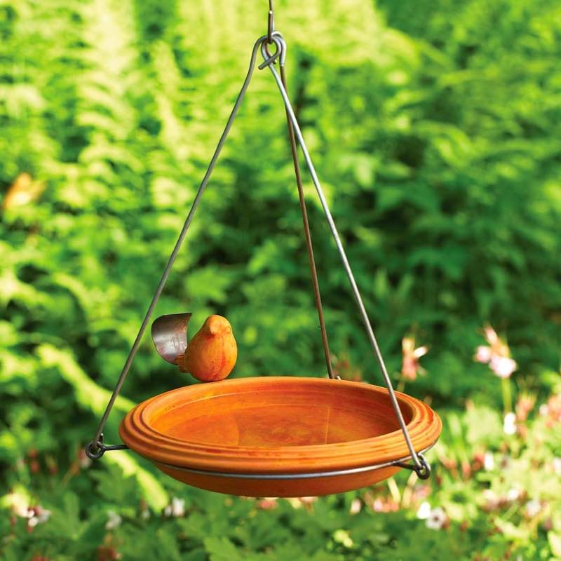 Hanging Birdbath with Bird on Ledge in Spice