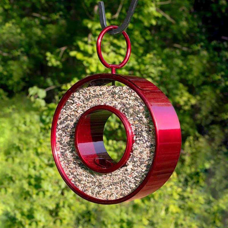 Circle Fly-Through Bird Feeder