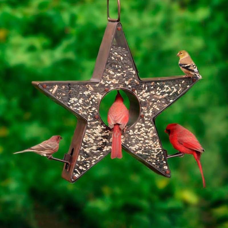 Star Fly-Through Copper Finish Bird Feeder