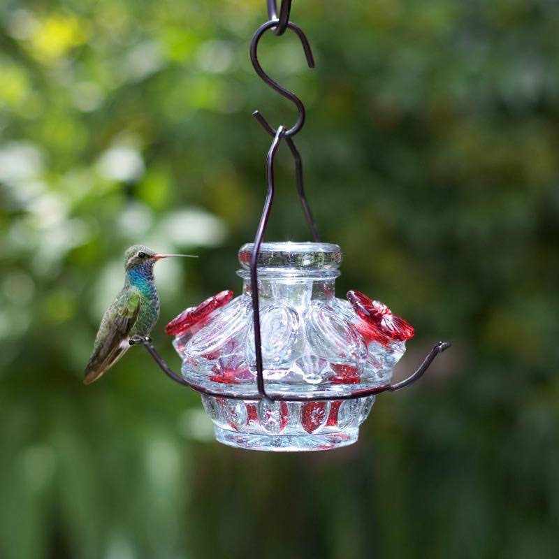 Pot de Créme Moon and Stars Hummingbird Feeder