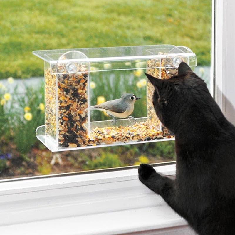 One-Way Mirror Window Mount Bird Feeder