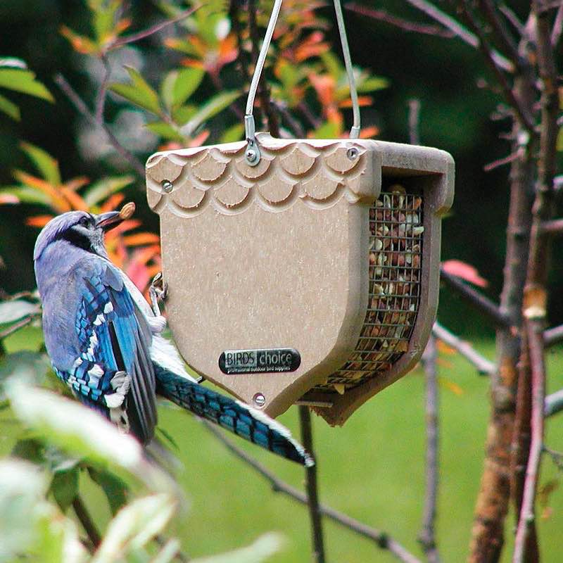 Acorn-Shaped Recycled Plastic Bird Feeder for Shelled Peanuts - Natural