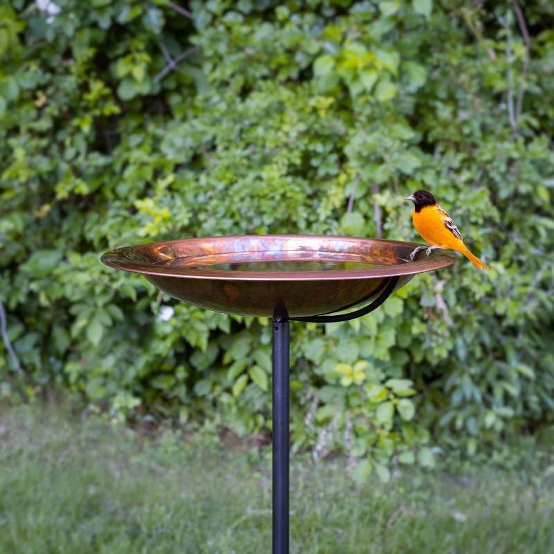 Handcrafted Copper Birdbath with Garden Pole