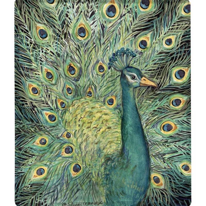 Colorful Peacock Throw Blanket