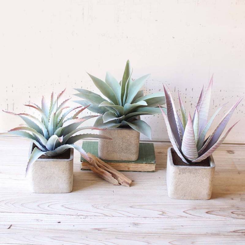 Assorted Faux Succulents in Square Pots, Set of 3