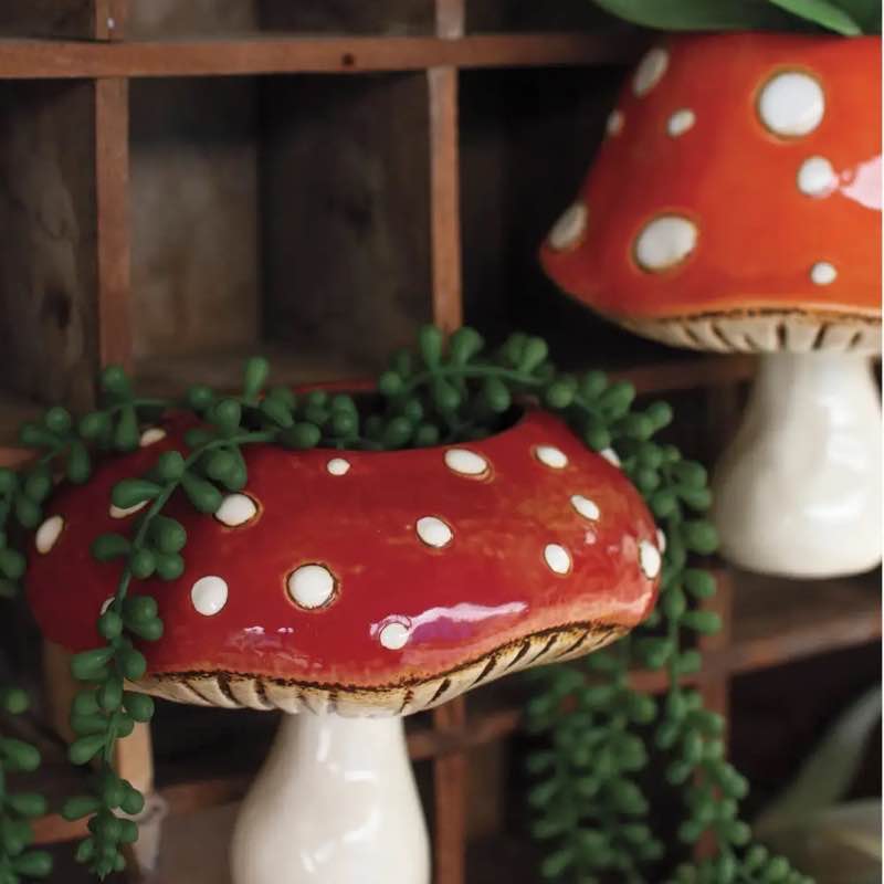 Ceramic Toadstool Planters, Set of 2