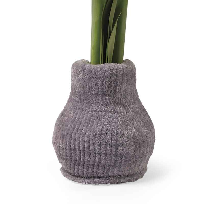 Cozy Sweater Amaryllis Wax Bulb - Gray