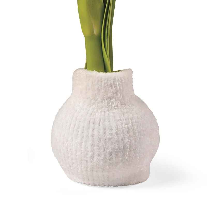 Cozy Sweater Amaryllis Wax Bulb - White