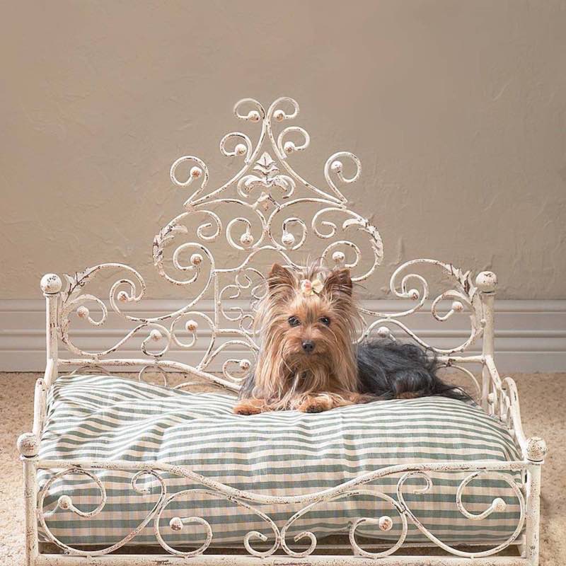 Iron Scrollwork Pet Daybed