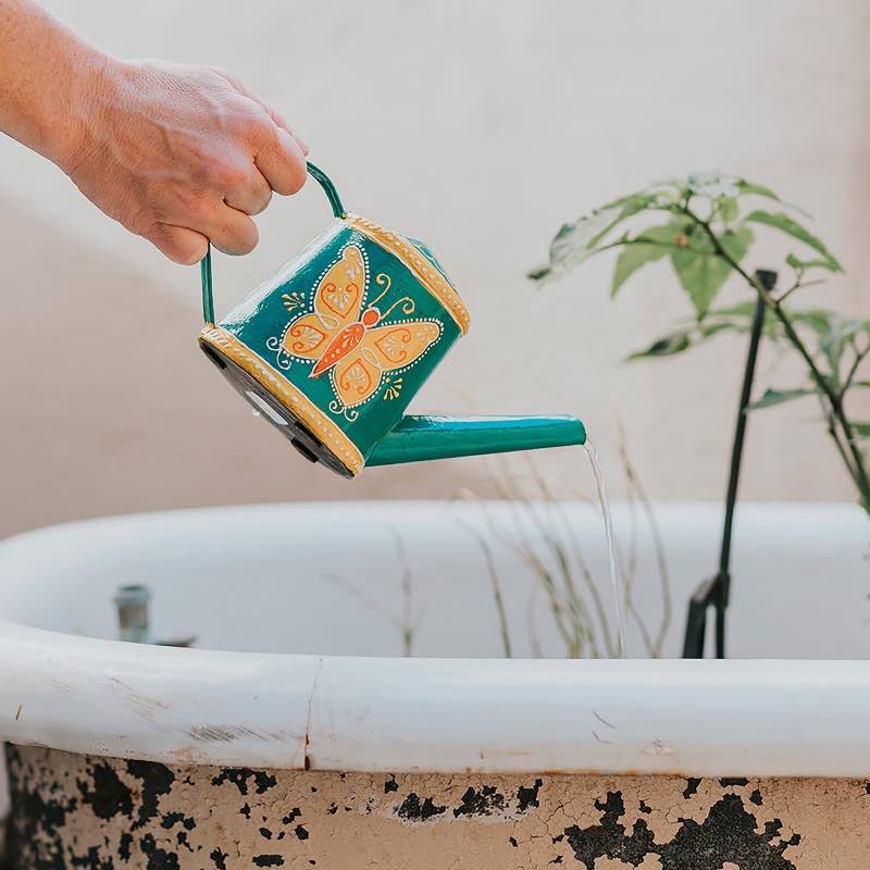 Butterfly Mini Watering Can