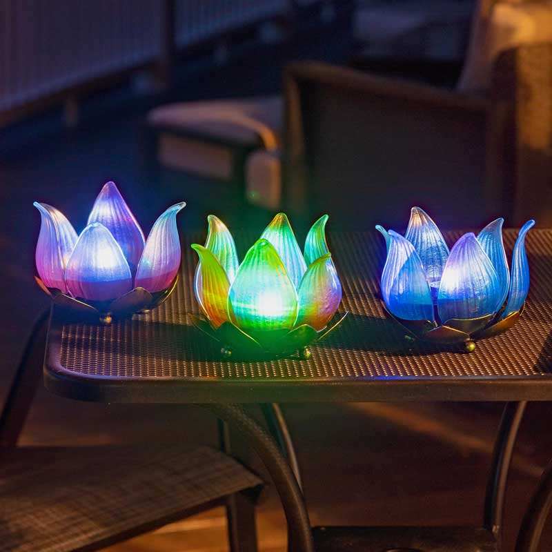 Solar Glass Tulips, Set of 12