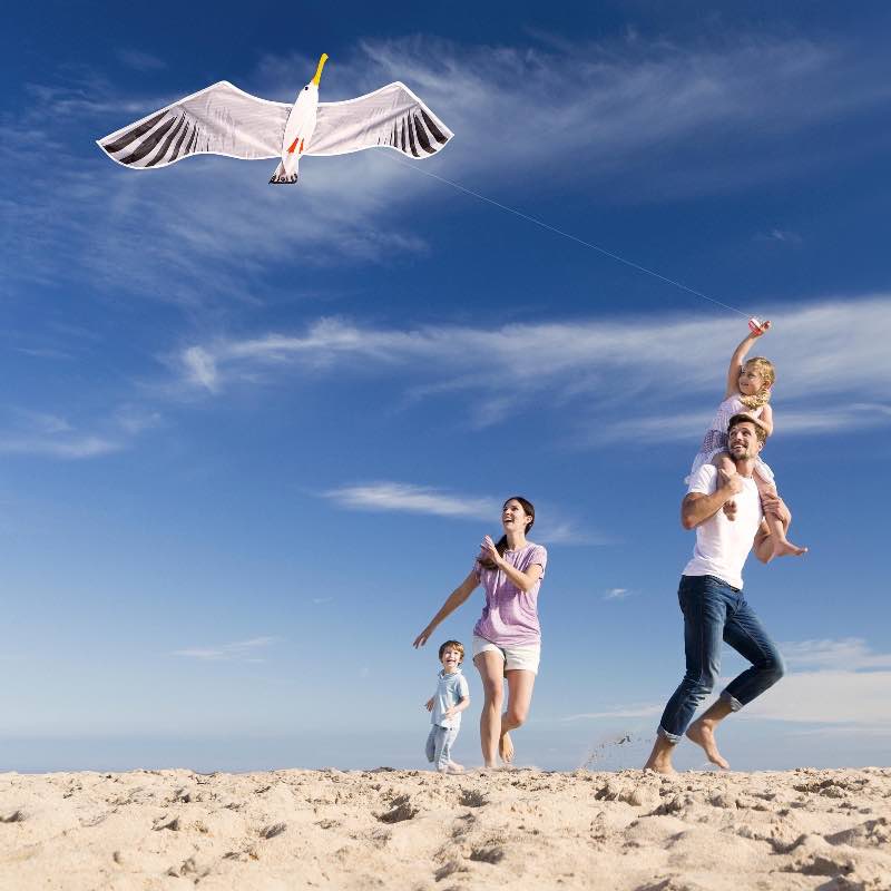 Seagull Kite with Reel