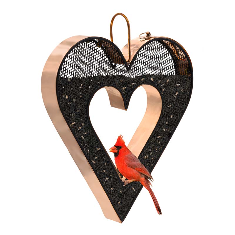 Be still My Heart Fly-Thru Bird Feeder
