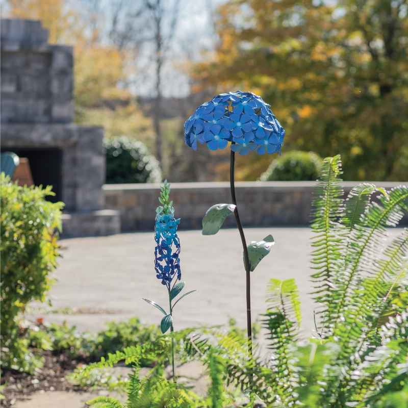 Delphinium Garden Pick