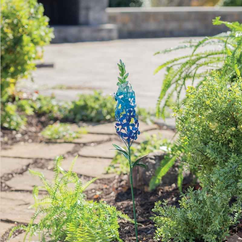 Delphinium Garden Pick