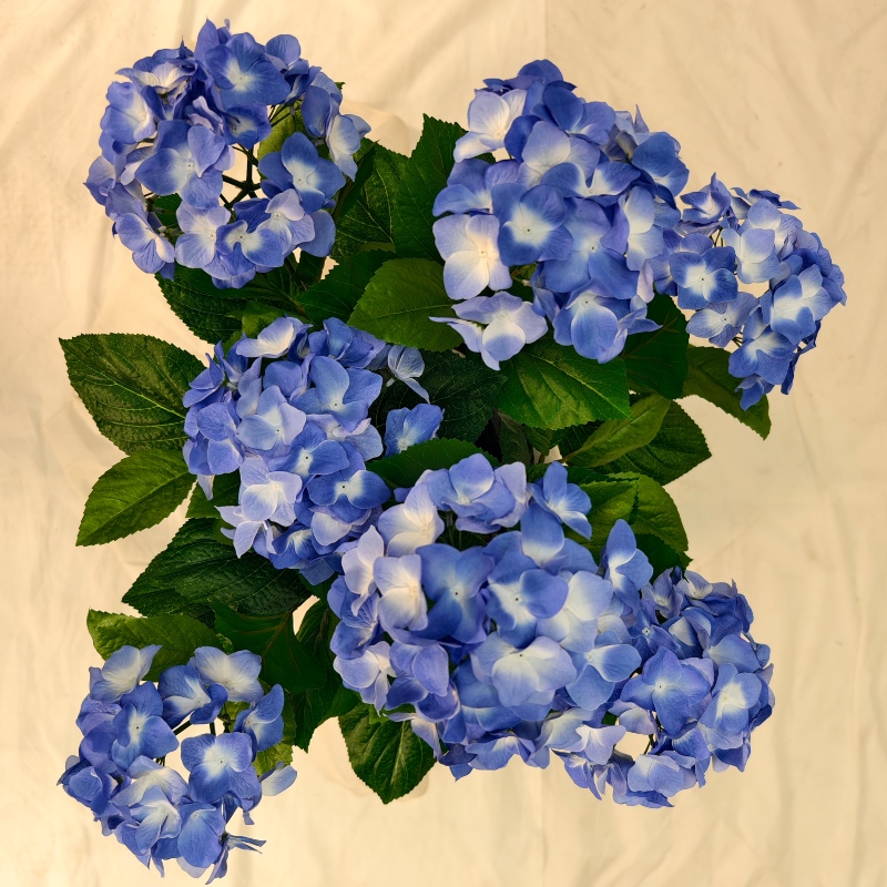 Faux Blue Hydrangea Pot Filler