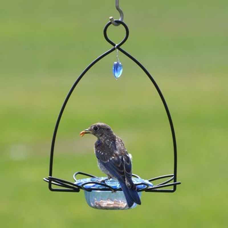 Flower Shaped Bluebird Feeder, 3 oz.