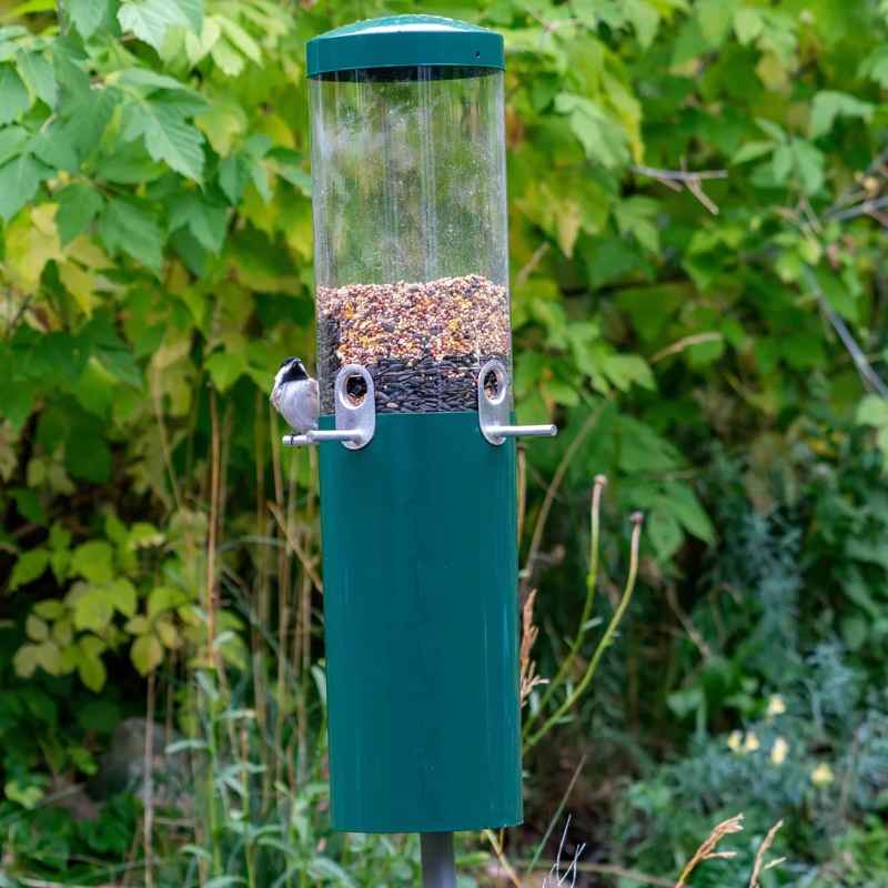 Squirrel-Proof Classic Bird Feeder with Pole and Baffle