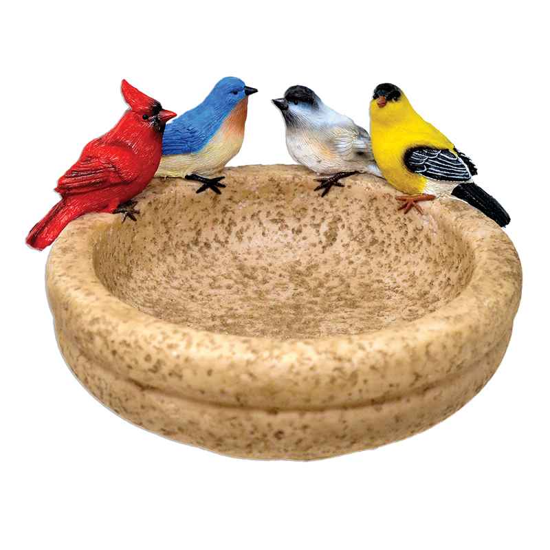 Backyard Birds Resin Birdbath and Feeder