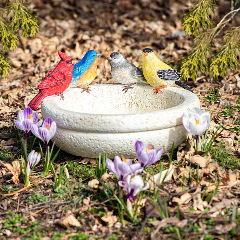 Backyard Birds Resin Birdbath and Feeder