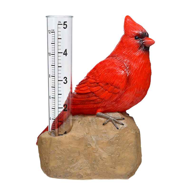 Cardinal Rain Gauge